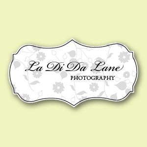 ladidalanephotography.com/blog logo